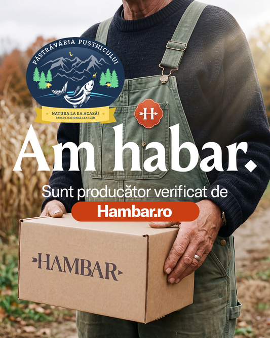 Disponibil la nivel national pentru comenzi prin aplicatia HAMBAR!